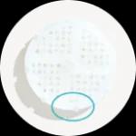 purified-vitamin-c-shower group 2