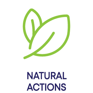 Bebble Body Oil - certificate 3